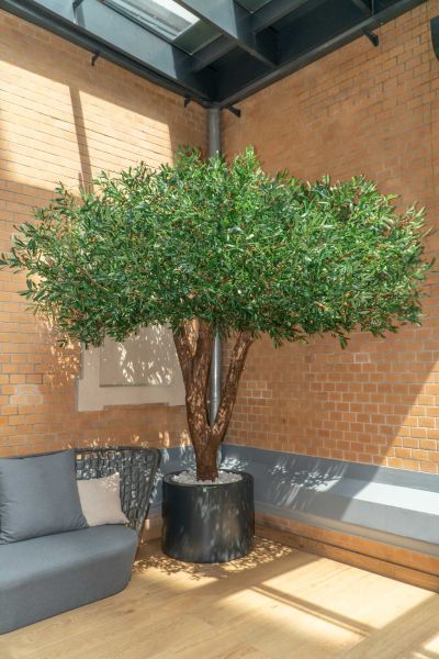 Sztuczne Drzewo Oliwne w Hotelu we Wrocławiu 14