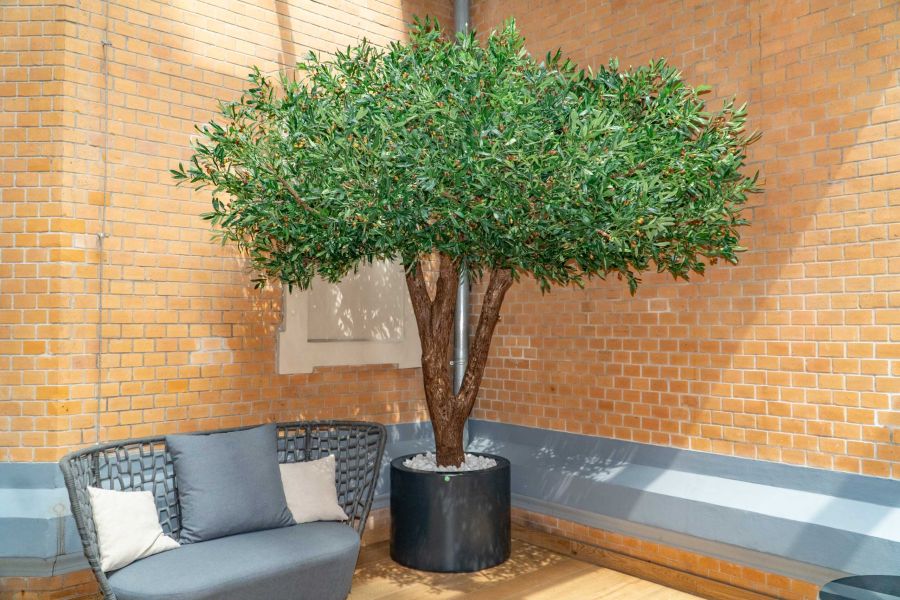 Sztuczne Drzewo Oliwne w Hotelu we Wrocławiu 1