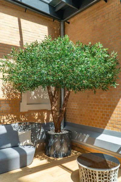 Sztuczne Drzewo Oliwne w Hotelu we Wrocławiu 8