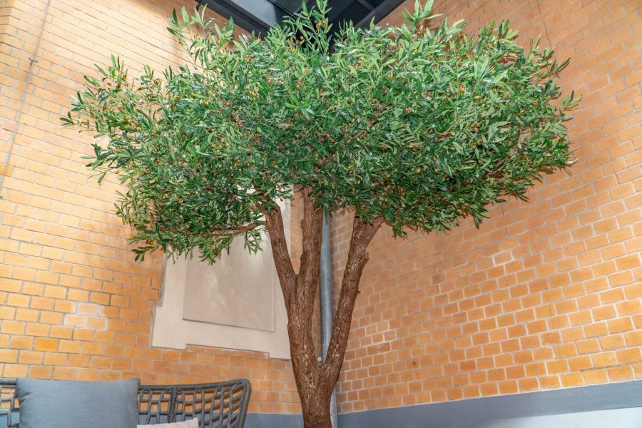 Sztuczne Drzewo Oliwne w Hotelu we Wrocławiu 11