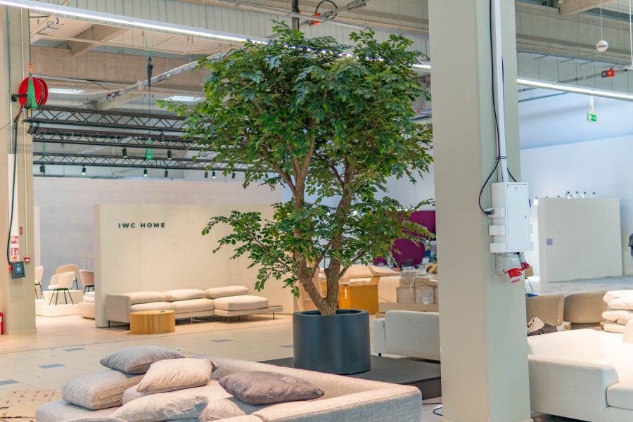 Sztuczny Fikus Benjamin - Drzewo na Targach w Warszawie 6