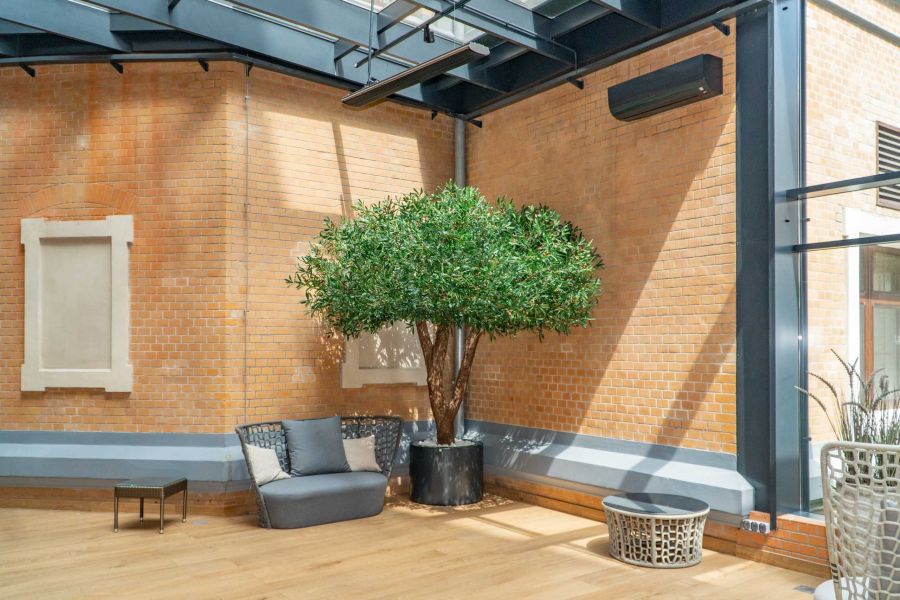 Sztuczne Drzewo Oliwne w Hotelu we Wrocławiu 2