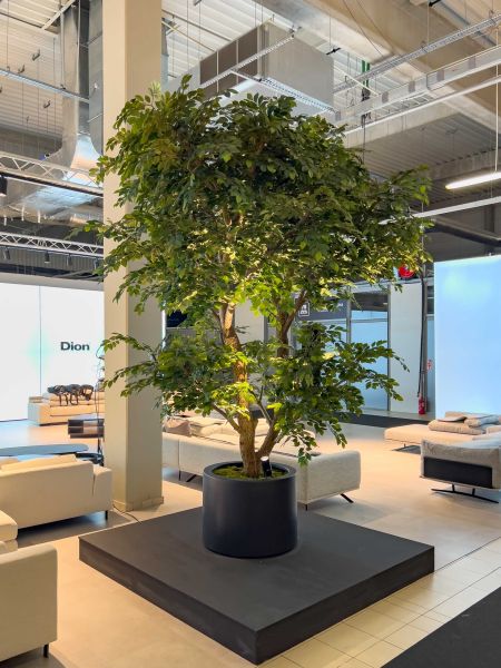 Sztuczny Fikus Benjamin - Drzewo na Targach w Warszawie 13