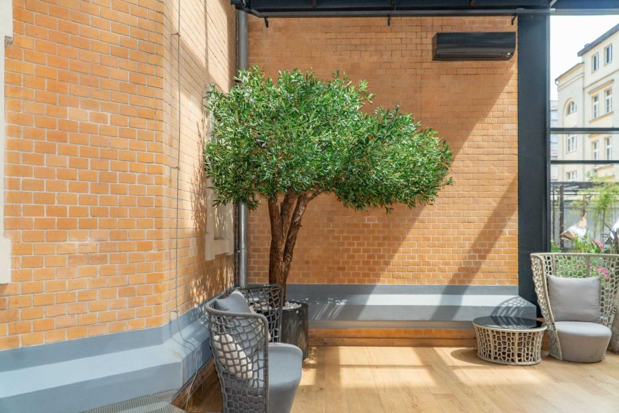 Sztuczne Drzewo Oliwne w Hotelu we Wrocławiu 10