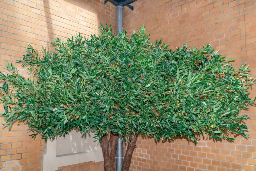 Sztuczne Drzewo Oliwne w Hotelu we Wrocławiu 7