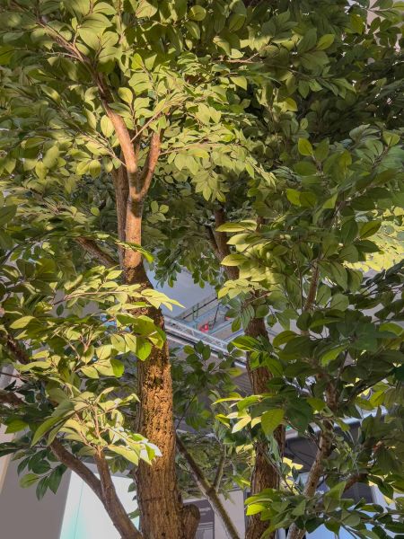 Sztuczny Fikus Benjamin - Drzewo na Targach w Warszawie 11