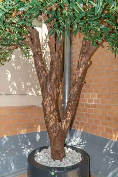 Sztuczne Drzewo Oliwne w Hotelu we Wrocławiu 5