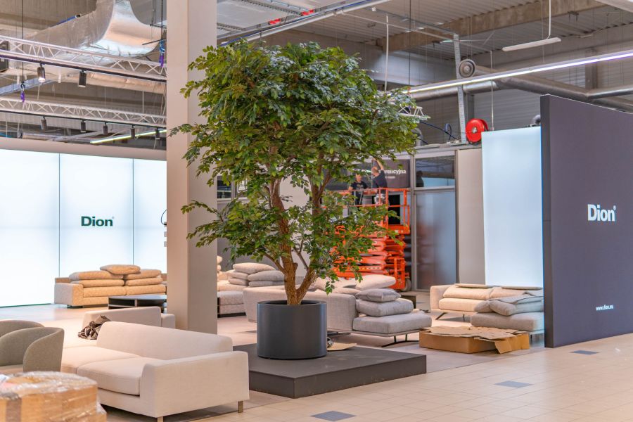 Sztuczny Fikus Benjamin - Drzewo na Targach w Warszawie 3