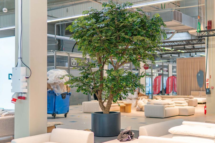 Sztuczny Fikus Benjamin - Drzewo na Targach w Warszawie 4