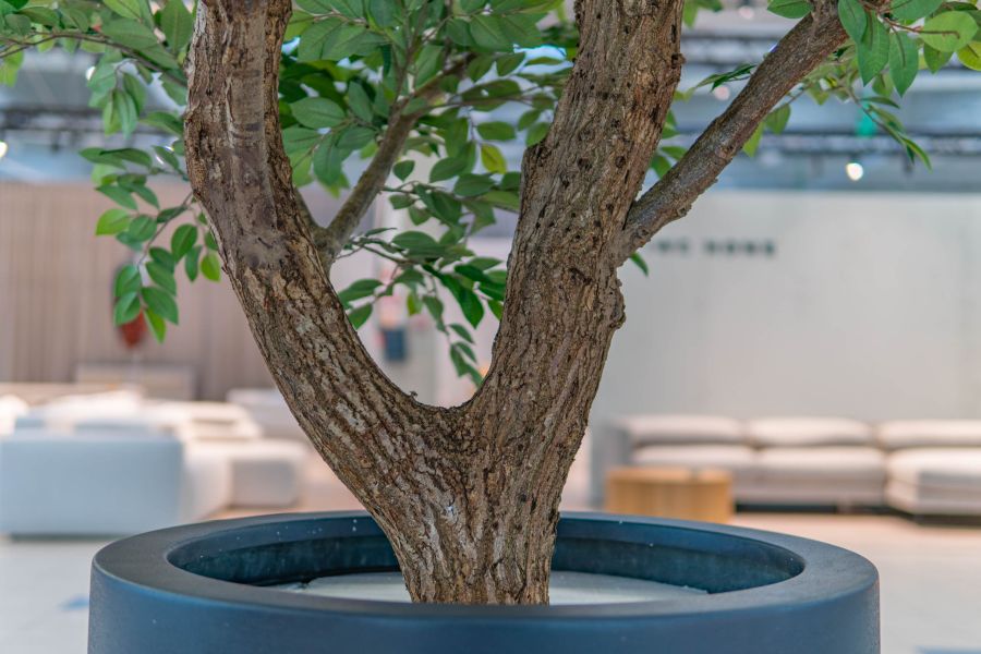 Sztuczny Fikus Benjamin - Drzewo na Targach w Warszawie 8