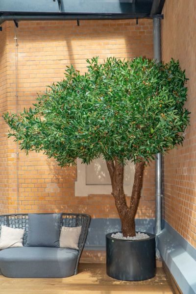 Sztuczne Drzewo Oliwne w Hotelu we Wrocławiu 16